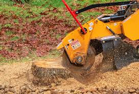 Best Lawn Disease Treatment  in Westmont, NJ