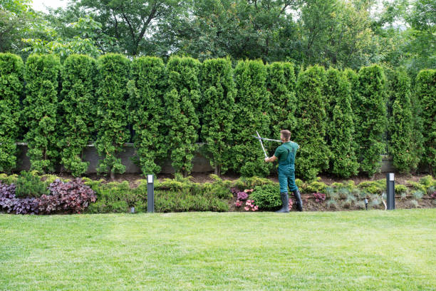 Best Utility Line Clearance  in Westmont, NJ