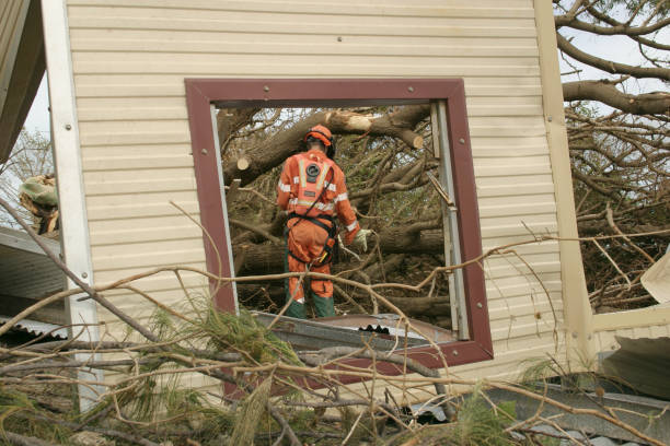 Best Emergency Tree Removal  in Westmont, NJ