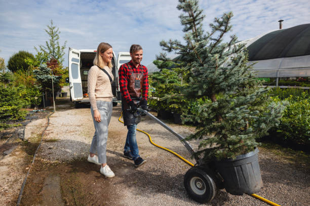 Lawn Maintenance Plans in Westmont, NJ